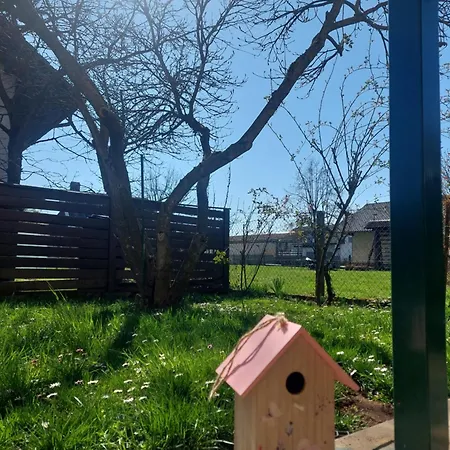 Apartma Iva Apartment *